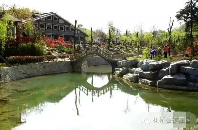 這個周末，隴南康縣花橋有大事要發(fā)生？