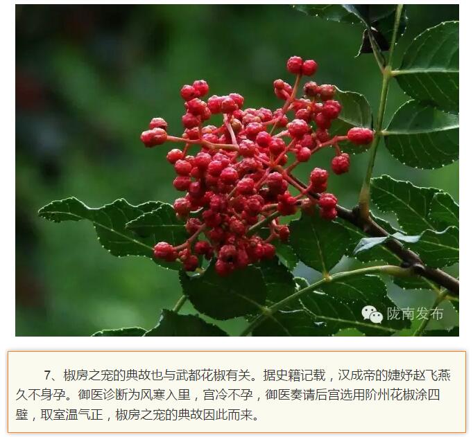 蘭渝鐵路最早由孫中山先生提出？在隴南，你不知道的事兒還有……