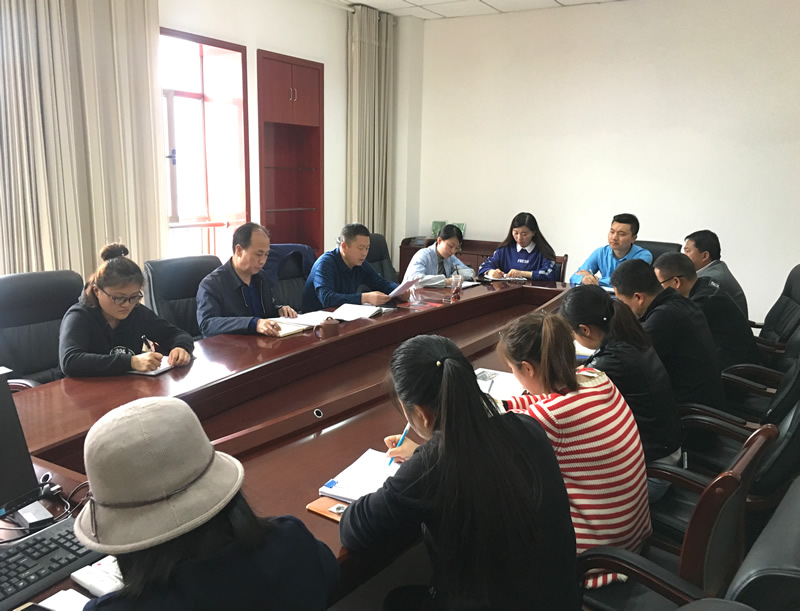 市龍江城鄉(xiāng)發(fā)展集團專題學習近期中央、省、市紀律檢查委員會議精神