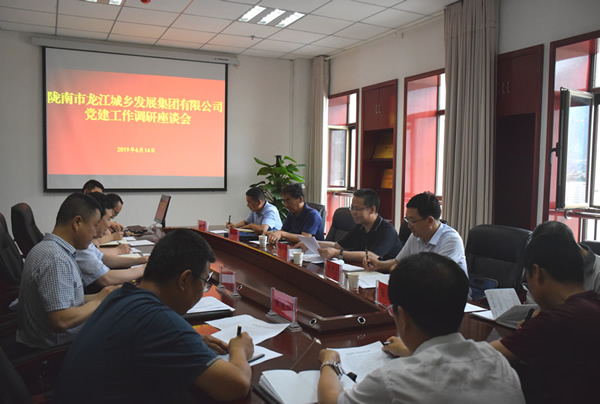 隴南市委常委、組織部部長(zhǎng)楊郃調(diào)研指導(dǎo)市龍江城鄉(xiāng)發(fā)展集團(tuán)公司黨建工作
